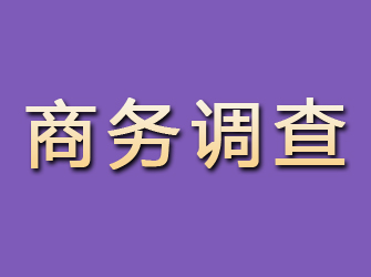 铁岭商务调查